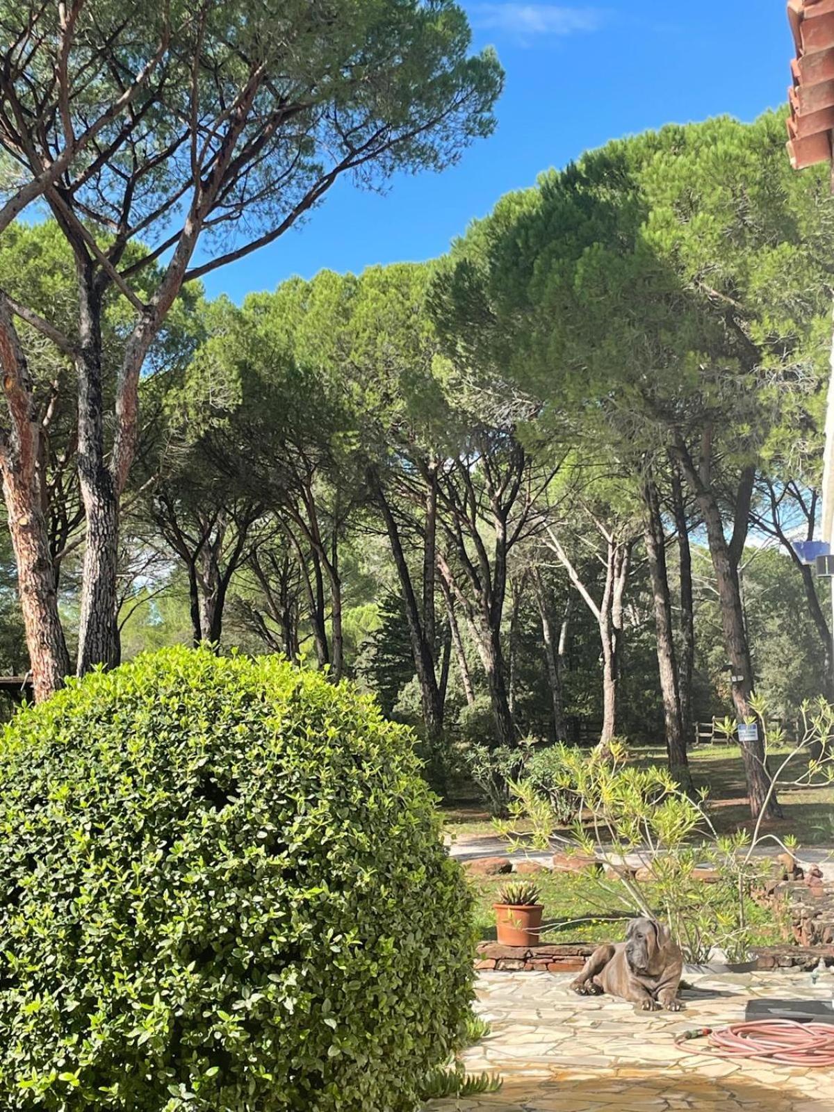 La Villa Le Cannet-des-Maures Luaran gambar